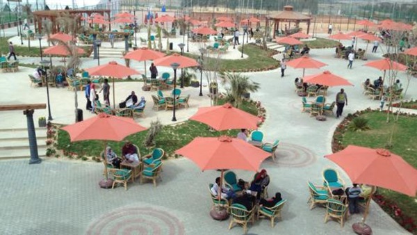 نادي الاهلي بالجزيرة