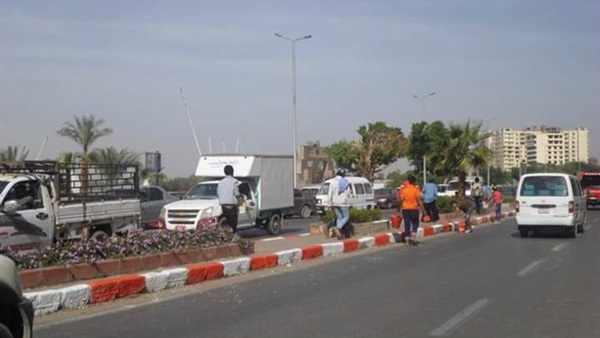 المواطن