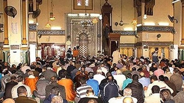 المواطن