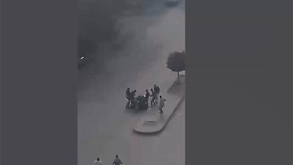 المواطن