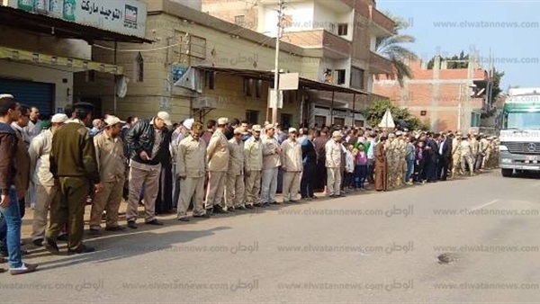 ارشيفية