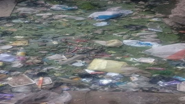 صور القمامة بالشارع