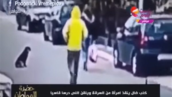 المواطن
