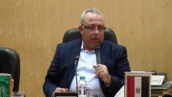 محافظ الشرقية
