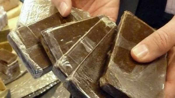 مخدر الحشيش