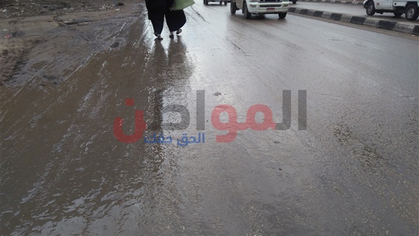 أمطار خفيفة بالدقهلية