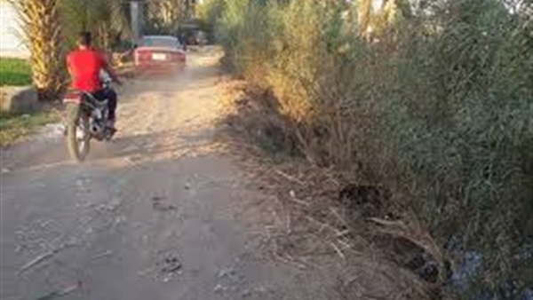 ارشيفية