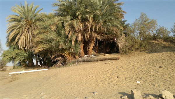 مركز الفرافرة