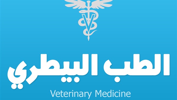 الطب البيطري