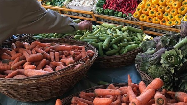 صورة من جولة المواطن