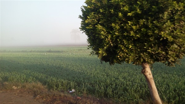 سبورة مائية