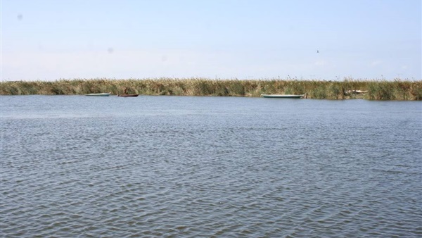 بحيرة البرلس