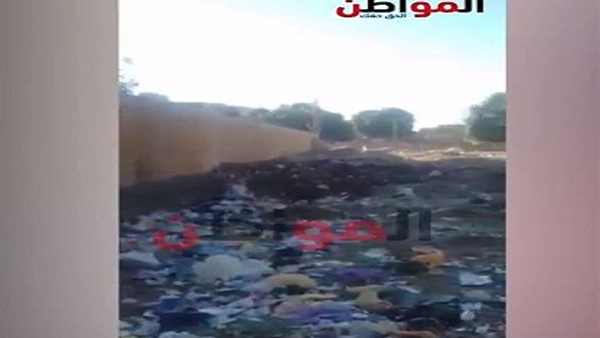 المواطن