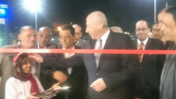 محافظ اسوان