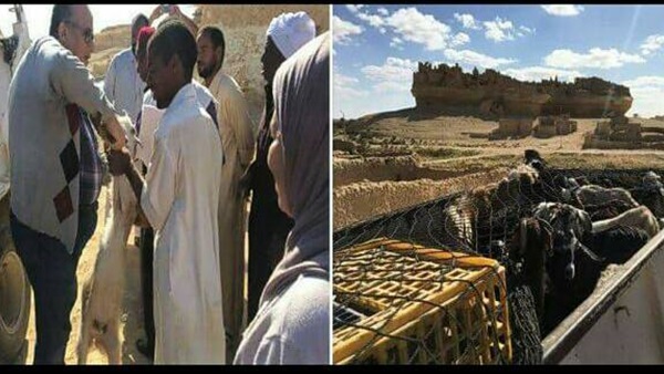 صورة من الحملة
