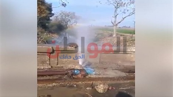 صورة من الفيديو