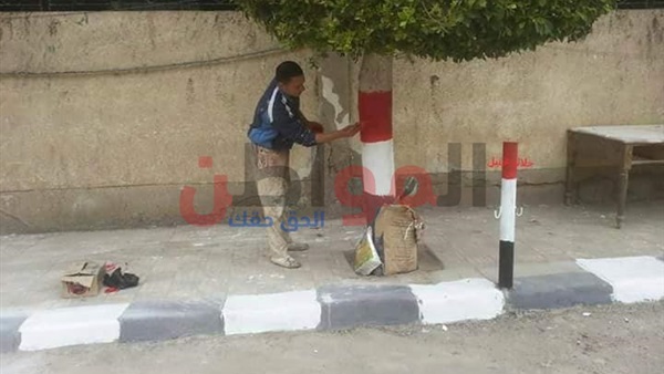 المواطن
