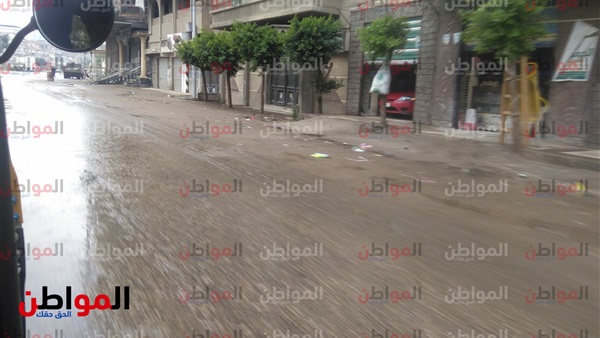 المواطن