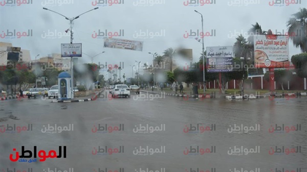 المواطن