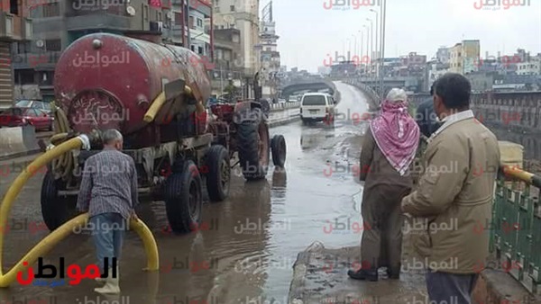 المواطن