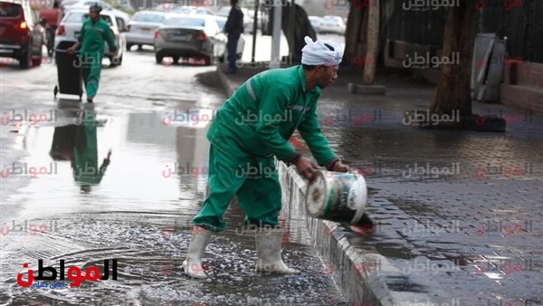 المواطن