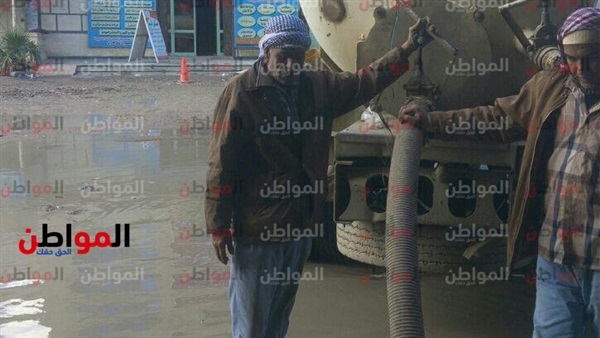 المواطن