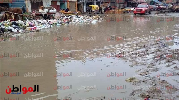 شوارع زفتى