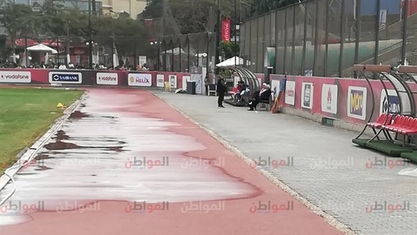 شيرين شمس