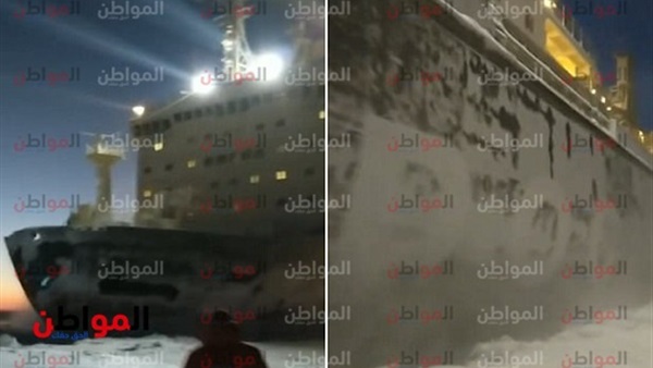 السفية الوحشية