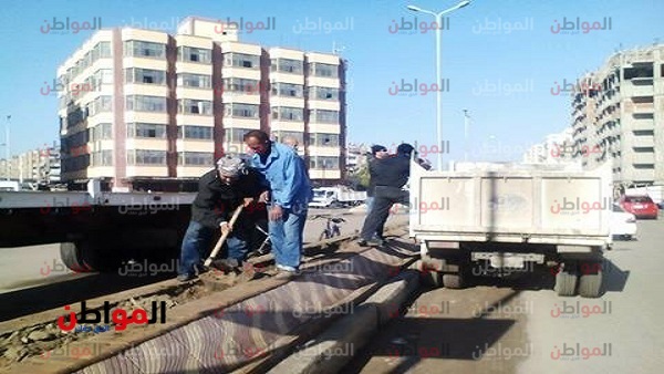 تجميل شوارع بورسعيد