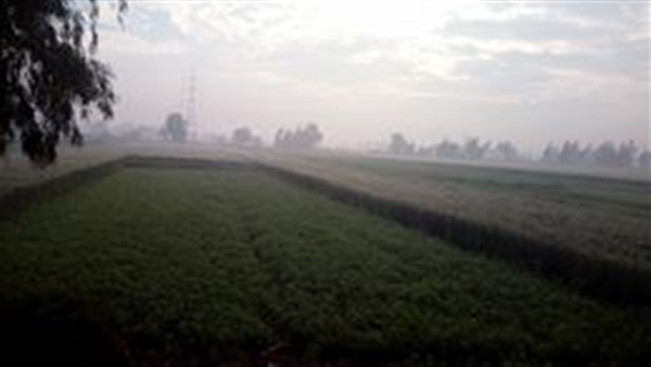 سماء الغربية