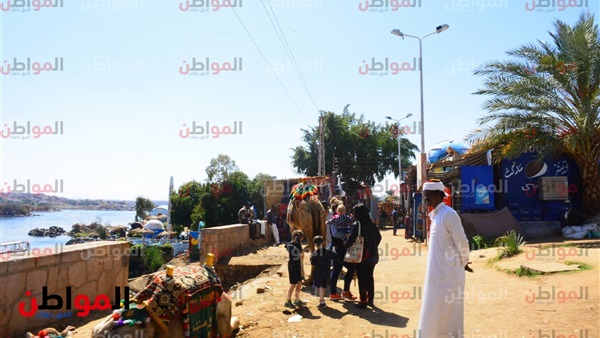 جمال اسوان