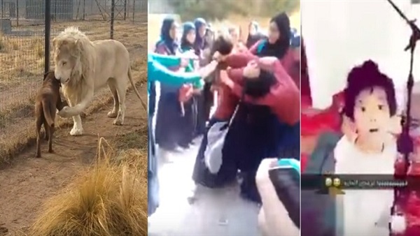 صور من فيديوهات اليوم