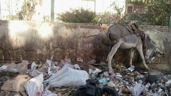 القمامة