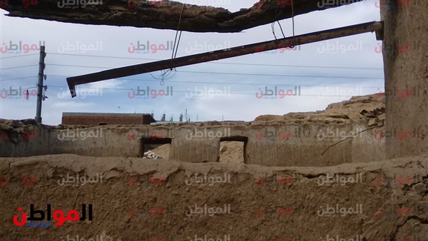 النمل الأبيض-أسوان