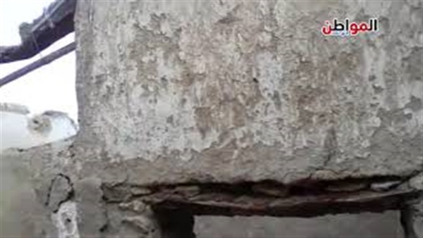 النمل الأبيض -أسوان-كوم