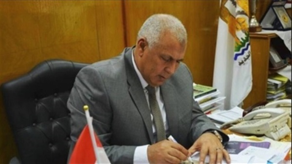 محافظ الوادي الجديد