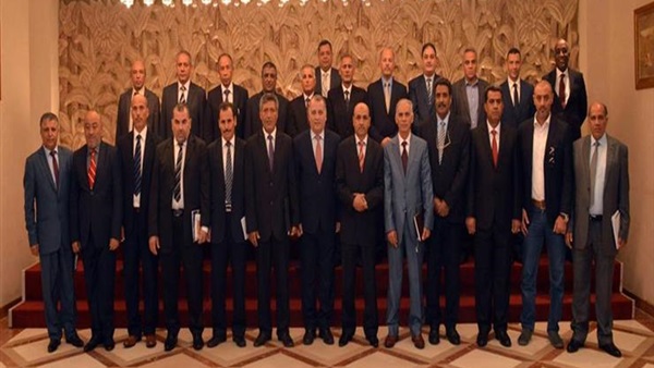 اللجنة المصرية المعنية