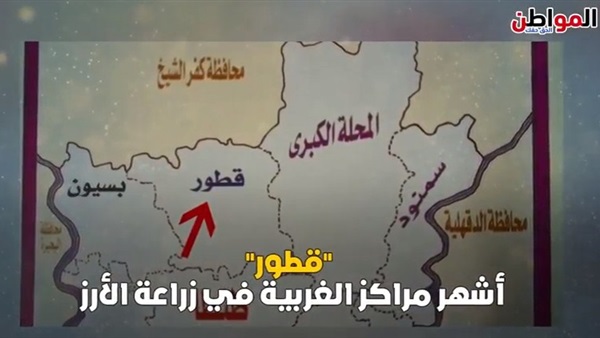 قطور