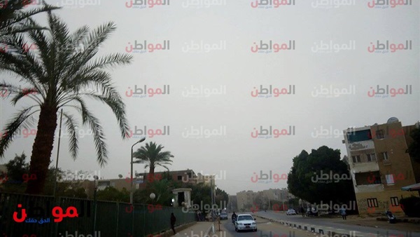 المواطن