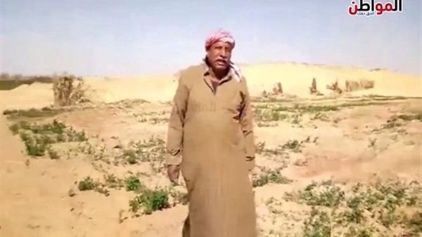 إزالة الوادي الجديد
