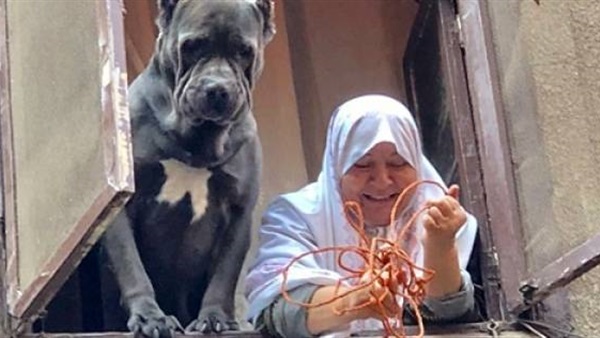 سيدة الدرب الأحمر
