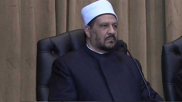 مجدي عاشور مستشار