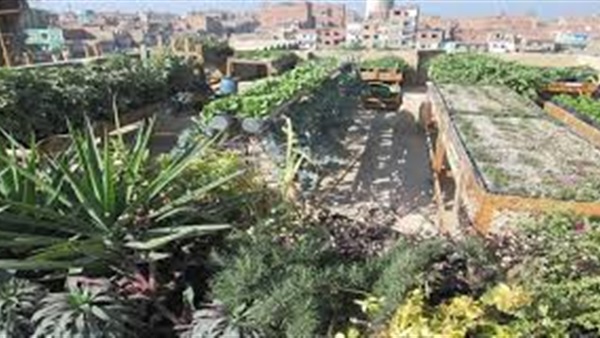 الزراعة