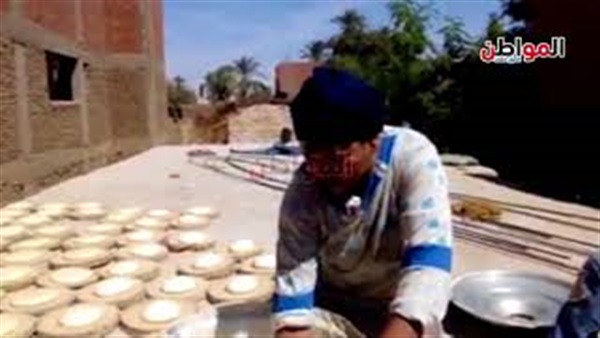 ربة منزل -انتخابات