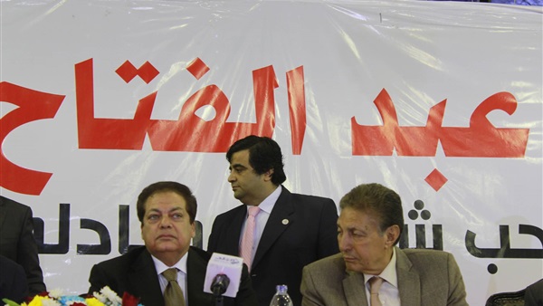 محمد أبو العنين في