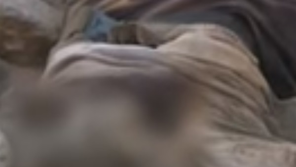 جثة