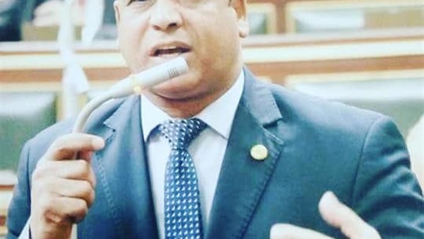 محمد عبد السلام الضبع