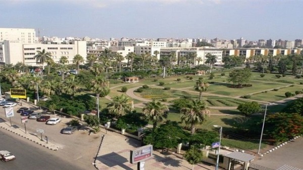 جامعة المنصورة