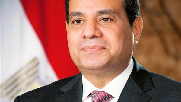مؤتمر دعم السيسي